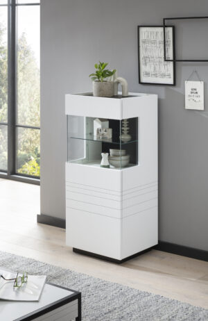 Vitrine Weiß Matt / Applikation Schwarz