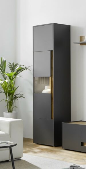 Vitrine in Anthrazit / Applikation Wotan Eiche Dekor