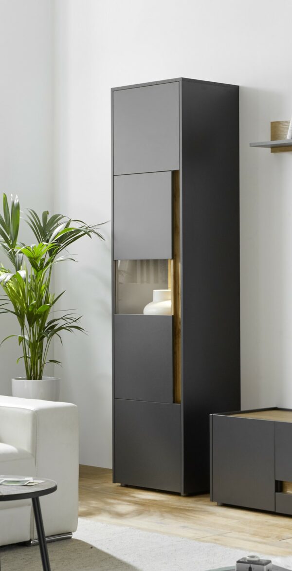 Vitrine in Anthrazit / Applikation Wotan Eiche Dekor